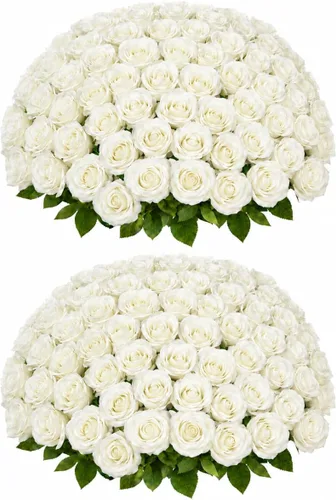 50 rosas artificiales, ramo de rosas blancas falsas, rosas artificiales de seda blanca con tallos para decoración de flores de boda, día de San