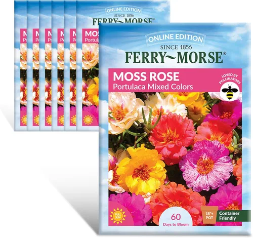 Miniatura 18 de Ferry-Morse Online Edition Tomato Supersweet 100 semillas híbridas – Alta tasa de germinación, sin OGM – Paquete de 8 Tomato Supersweet 100 Hybrid