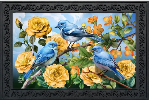 Miniatura 8 de Briarwood Lane Felpudo de resorte para comedero de colibríes Comedero para colibríes