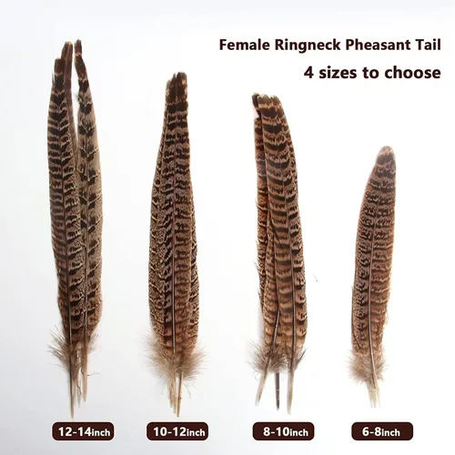Miniatura 6 de 20 plumas de faisán hembra, plumas naturales de cola de cuello anillado, 6-8 pulgadas, 15-20cm para manualidades, hogar, boda, fiesta, actuación