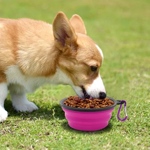 Miniatura 4 de Tazón para Perros Cuencos Plegables para Mascotas, Paquete de 2 Cuencos Plegables de Agua para Perros para Gatos y Perros, Plato Portátil de Verde +