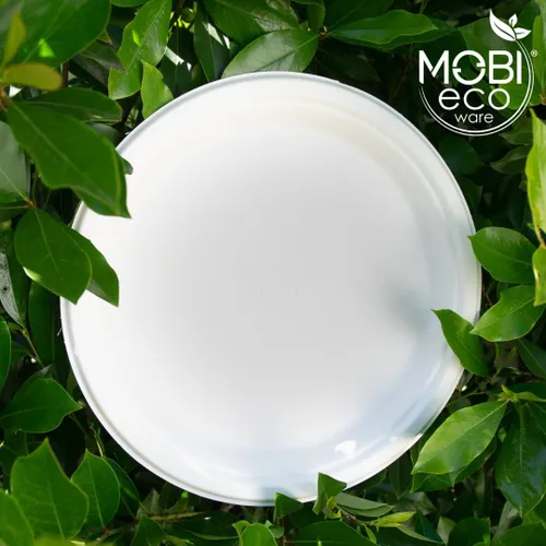 Miniatura 7 de Platos de papel, 100 % compostables, 10 pulgadas por 0.5 pulgadas de profundidad, plato desechable resistente, certificado (BPI), sin (PFAS)