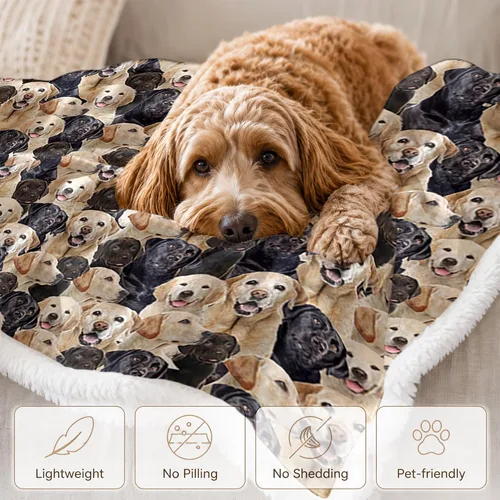 Miniatura 4 de BlessLiving - Manta de forro polar para niños y adultos con diseño de Labrador y Golden Retriever, manta de sherpa para cachorros, manta de felpa