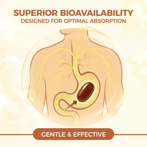 Miniatura 5 de LIRAE Ceilán Canela Ceilán Canela Geles Suaves Equivalentes con Aceite Mct, Extracto de Hierbas Altamente Biodisponible Sin OGM, Sin Gluten 300