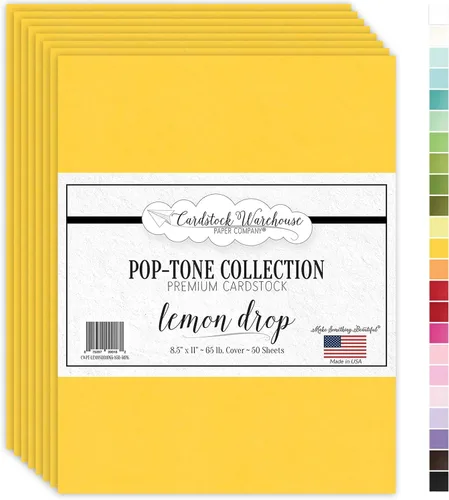Miniatura 14 de Cardstock Warehouse Papel de Cartulina Pop-Tone Negro Licor de Anis – 50 Hojas, 8.5 x 11" - 65 lb / 175 GSM Cartulina Negra Premium para Corte
