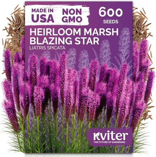 Miniatura 27 de KVITER 25 semillas de algodón blanco para plantar (Gossypium hirsutum) – Planta de algodón real, semillas de algodón para cultivo, semillas