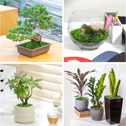 Miniatura 5 de Musgo verde falso, musgo artificial de 5.3 onzas para manualidades, musgo sintético para plantas de interior, musgo verde para decoración