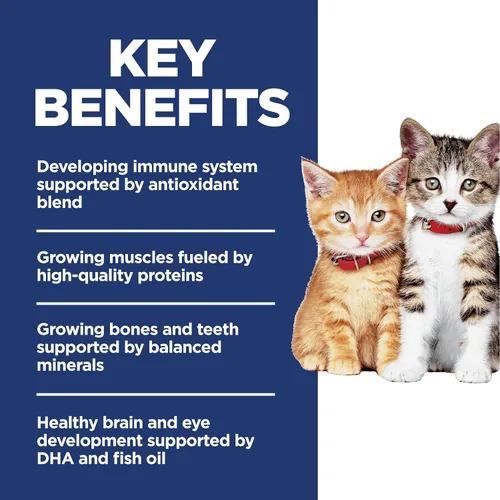 Miniatura 3 de Hill's Science Diet Kitten, Nutrición Premium para Gatito, Comida Seca para Gato, Sin Maíz, Trigo, Soja, Sabor Pollo y Arroz Integral, Bolsa de 6 lb