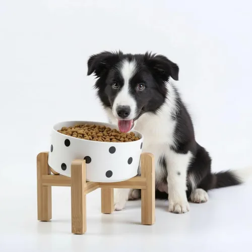 Petygooing Tazón elevado/relevado de cerámica para perros de 15° inclinado para razas pequeñas y medianas, tazón antideslizante inclinado para Punto