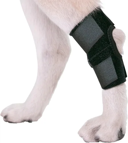 Miniatura 2 de Banda de compresión Agon para patas traseras de perros, con correas, para proteger de heridas, cura, evita lesiones y torceduras, ayuda