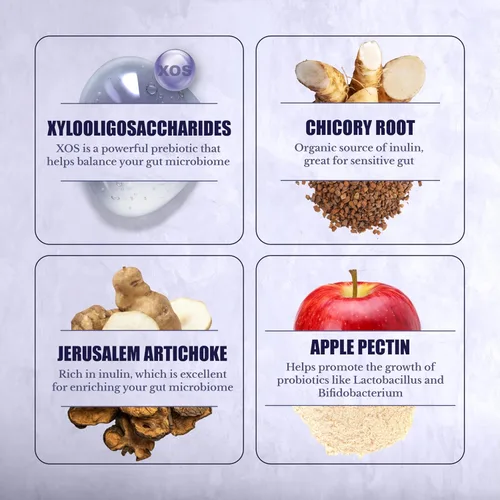 Miniatura 5 de Suplemento de prebióticos para la salud intestinal y la digestión, fibra prebiótica con XOS, inulina, raíz de achicoria, alcachofa de Jerusalén