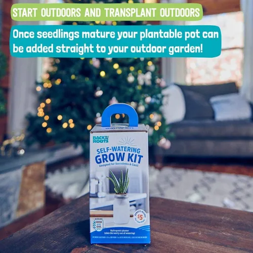 Miniatura 4 de Back to the Roots Kit de cultivo de riego automático, macetas hidropónicas de vidrio para suculentas y sistema de riego automático de cactus