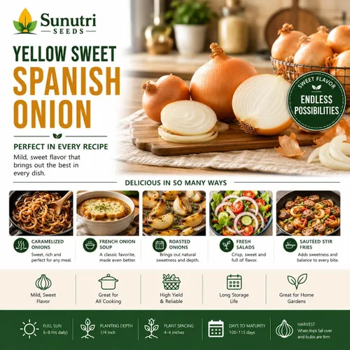 Miniatura 8 de Semillas de cebolla española dulce amarilla para plantar – Variedad de cebolla bulbante de día largo – Cebollas dulces suaves grandes para jardines