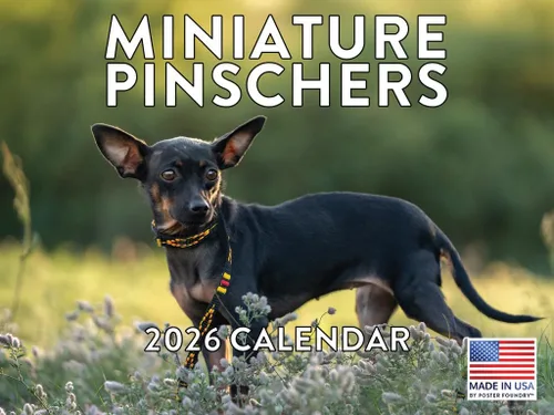 Miniatura 223 de Calendario de pared mensual 2025 Great Dane de 12 meses, fabricado en Estados Unidos