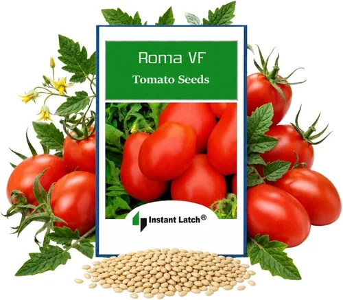 250 semillas de tomate Roma VF para sembrar, semillas autóctonas sin OMG, semillas de jardín de vegetales Instant Latch