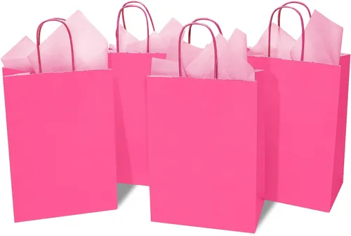 DjinnGlory Paquete de 24 bolsas de regalo de papel rosa intenso de tamaño mediano con asas de 10 x 8 x 4 pulgadas y 24 papel de seda rosa para Rosa