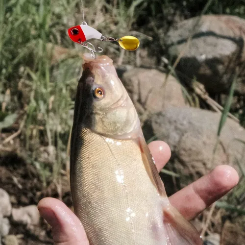 Miniatura 2 de 3 piezas de señuelo anzuelo de pesca señuelo de pesca cebo artificial 3D ojos señuelo de pesca suave cebos de un solo gancho para perca, trucha