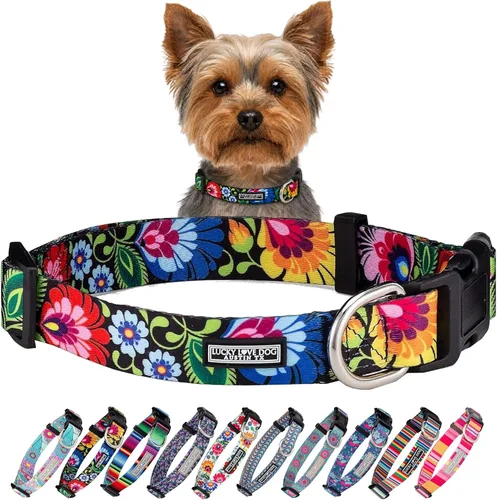 Lucky Love Dog - Collar para perras pequeñas, diseño Blackbird de estampado alegre con flores de primavera y verano, talla XS