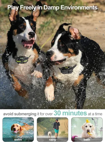 Miniatura 6 de FunniPets Collar de choque para perro, paquete de 2 – Collar de entrenamiento para perros con control remoto IP65 impermeable E Collar para perros