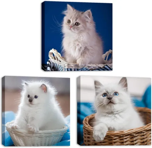 Miniatura 15 de Jiuqinghua Impresiones en lienzo personalizadas con fotos sobre lienzo, transforma tus fotos en impresionantes, arte de pared enmarcado