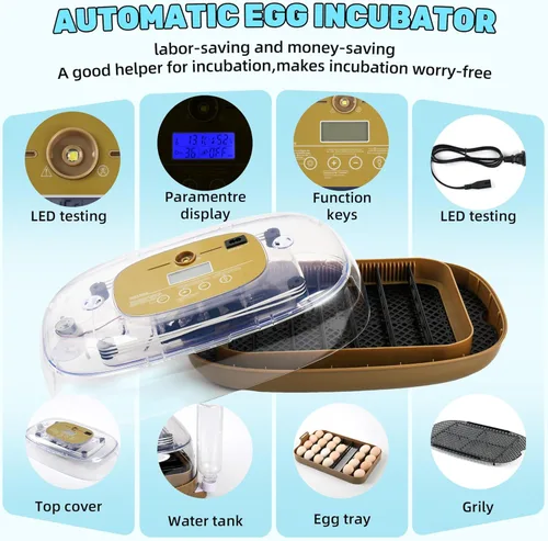 Miniatura 3 de Ploomi Incubadora de 24 huevos con recarga automática de agua y control de humedad, girador automático de huevos, vela LED integrada, preprogramas