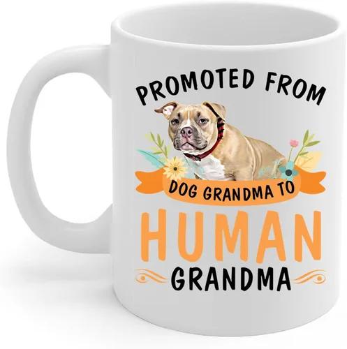 Promoted from Tan American Bully Dog Grandma to Human Grandma - Taza de café de cerámica blanca de 11 onzas