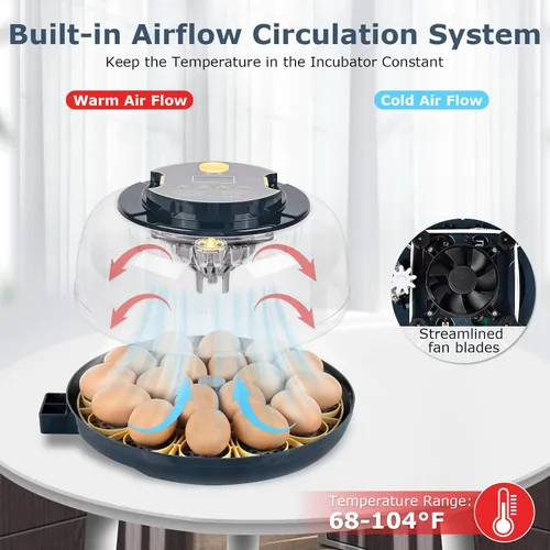 Miniatura 2 de Incubadoras para incubar huevos, incubadora de 18 huevos con vela de huevos, girador automático de huevos, control de temperatura y humedad, día