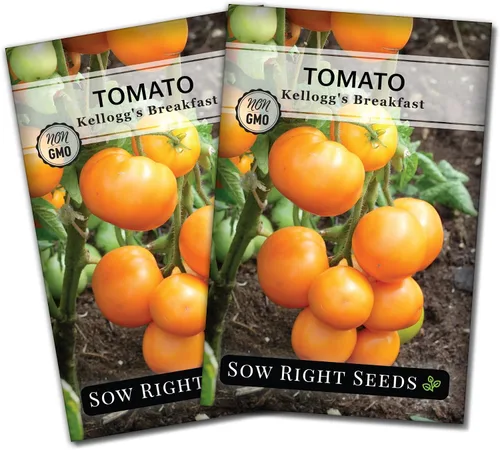 Miniatura 8 de Sow Right Seeds - Semillas de tomate Kellogg's Breakfast para plantar - Paquete de reliquia sin OMG con instrucciones para plantar un huerto casero
