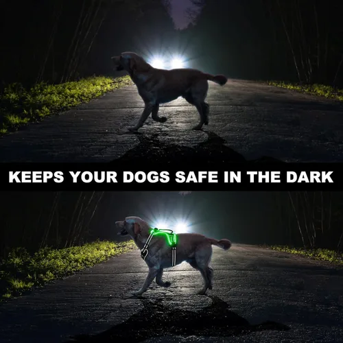 Miniatura 2 de Arnés para perro con luz LED para caminar de forma segura por la noche, chaleco de malla suave que brilla en la oscuridad, chaleco para perros