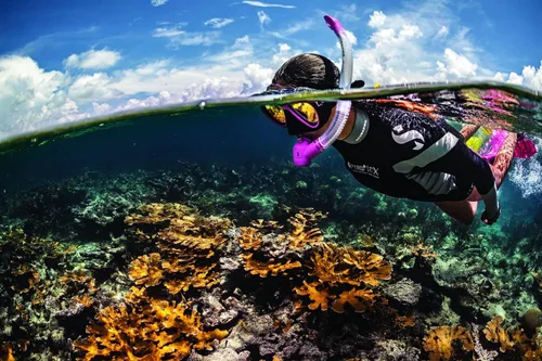 Miniatura 3 de SCUBAPRO Spectra Snorkel