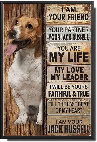 Miniatura 17 de Letrero de Metal Letrero de Hojalata Arte de Pared Vintage I Am Your Friend Regalo para Amantes de Schnauzer Arte de Pared Vintage Impresiones