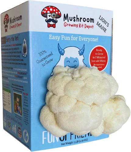 Miniatura 3 de Kit de cultivo de hongos melena de león (5 libras) Betty The Yeti Apto para principiantes y fácil de usar Hecho a mano en Estados Unidos