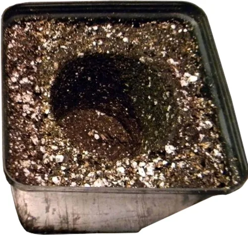 Miniatura 5 de SunGro SUGRBG2 - Bolsa de tierra para macetas natural y orgánica de oro negro, más fertilizante, 2 pies cúbicos (paquete de 3)