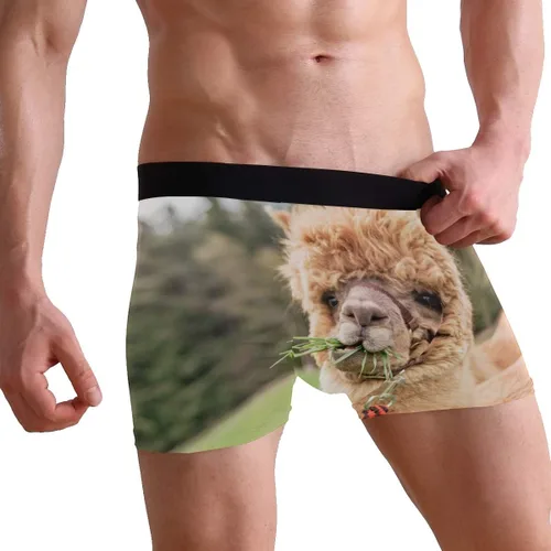 Miniatura 5 de ZZKKO Skull Llama - Calzoncillos tipo bóxer para hombre, transpirables, elásticos, con bolsa, tallas S-XXL
