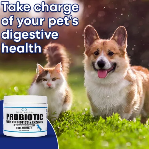 Miniatura 4 de Probióticos para perros y gatos – Formulado por veterinarios, fabricado en Estados Unidos, prebiótico y enzimático para mascotas en polvo
