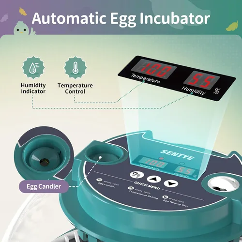 Miniatura 2 de Incubadora automática de huevos para incubar huevos con pantalla LED de temperatura, control de humedad y volteador de huevos, incubadora de tapa