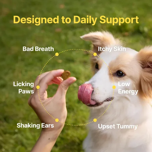 Miniatura 6 de PENPEN Probióticos para Perros, Probióticos para Perros para la Salud Digestiva, Mezcla Multi-Probiótica y de Enzimas que Promueve la Salud
