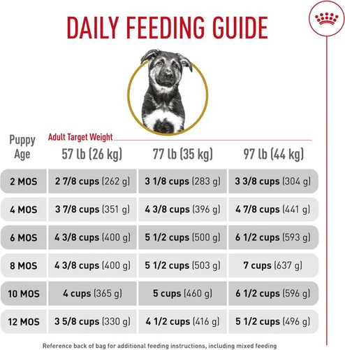 Miniatura 9 de Royal Canin Alimento Seco para Cachorros de Pastor Alemán Específico para la Raza, bolsa de 30 lb