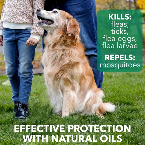 Miniatura 3 de Hartz Nature's Shield - Champú para perros Flea & Tick Protección botánica maximizada y prevención con aceites de canela, citronela y romero, 14