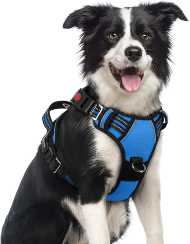 Miniatura 24 de rabbitgoo Arnés para perro de tamaño pequeño, chaleco para perro sin tirones con 3 hebillas, arnés ajustable y acolchado suave para mascotas con asa