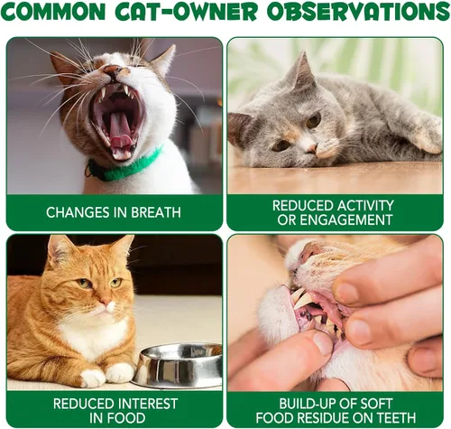 Miniatura 9 de Golosinas de hierba para gatos, golosinas para control de bolas de pelo en interiores, delicioso palo de dentición de hierba para quitar bolas