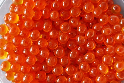 Miniatura 6 de Caviar Rojo Salmón, Huevas Chum Premium 2.2 lb 35.27 oz