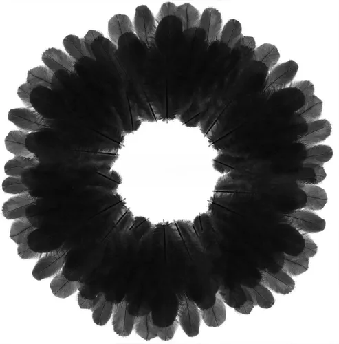 800 plumas de gallo negras de 3 a 5 pulgadas a granel para manualidades de jardín de infantes, bodas, decoraciones de fiesta familiar, suministros