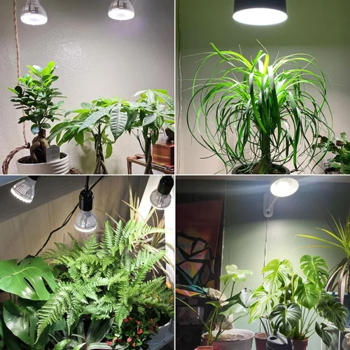 Miniatura 7 de Bombilla de cultivo regulable SANSI, espectro completo con control remoto, temporizador automático de encendido/apagado 4 8 12 horas, lámpara