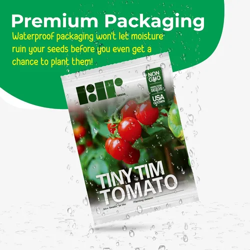 Miniatura 6 de 50 semillas de tomate Tiny Tim para plantar, tomate de patio, reliquia enana, tomate cherry - por RDR Seeds
