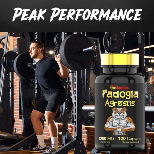 Miniatura 4 de Fadogia Agrestis: 1200 mg - 120 cápsulas Suplemento de extracto de Fadogia Agrestis ultra potente para hombres Energía, potencia, fuerza
