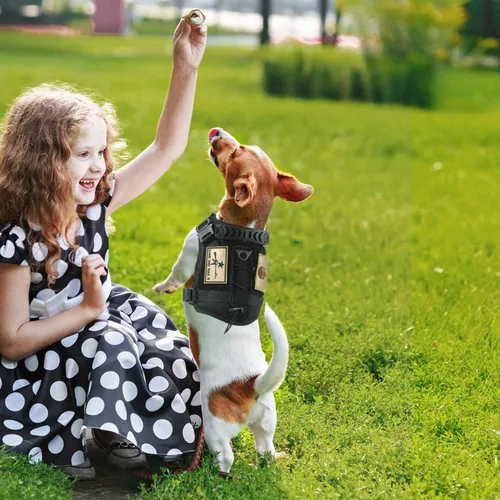 Miniatura 5 de Arnés táctico para perro, chaleco militar Molle para perro K9, chaleco para entrenamiento al aire libre, resistente al desgaste, arnés para perro