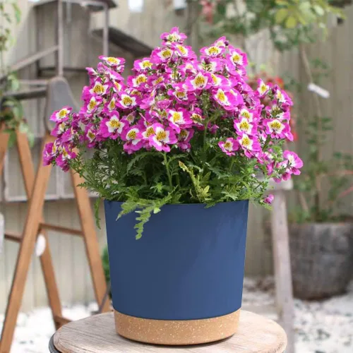 Miniatura 5 de ZMTECH Macetas para plantas, juego de 6 macetas de plástico de riego automático de 6.5 pulgadas con orificio de drenaje y platillo, maceta