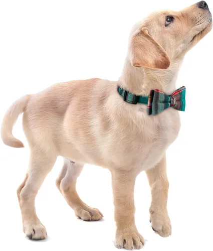 Miniatura 5 de Faleela Lindo Collar de Perro Navideño Suave para Niña con Lazo, Collar de Perro con Corbatín para Niño, Collar Ajustable Desmontable para Mascotas
