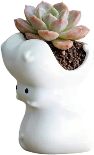 Miniatura 12 de Cuteforyou Macetas para suculentas, bonitas macetas de cerámica con forma de animal, diseño de cactus suculentas, planta no incluida (Corgi)
